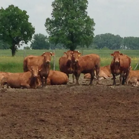 Da Luca * Calendasco